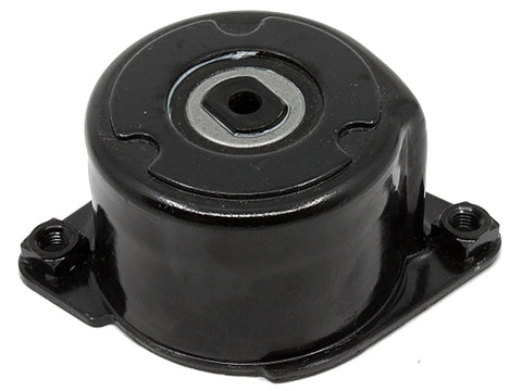 BMW Drive Belt Tensioner for M57N - INA 11287786880 | INA