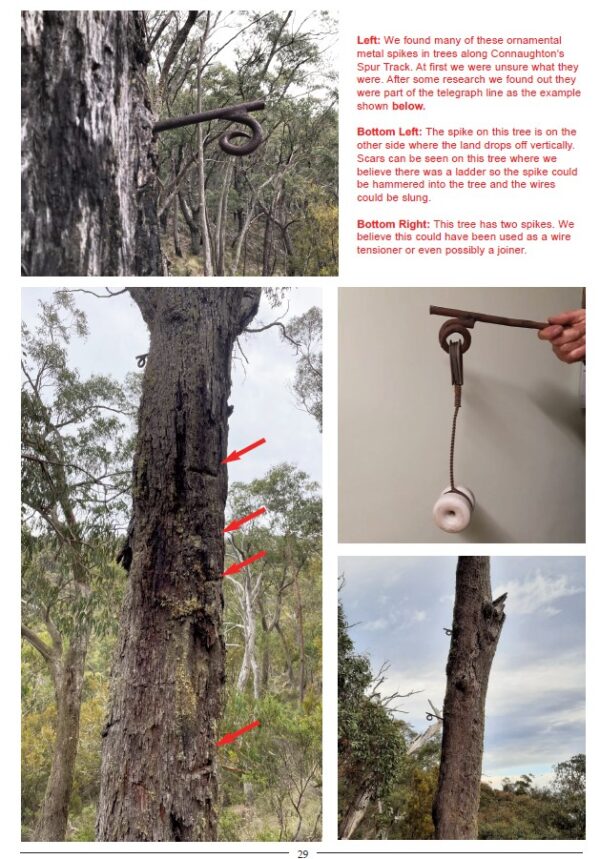 Blue Jacket Mines and Settlement- The Hidden Gem of the Jordan Goldfields (Book #5 in series)