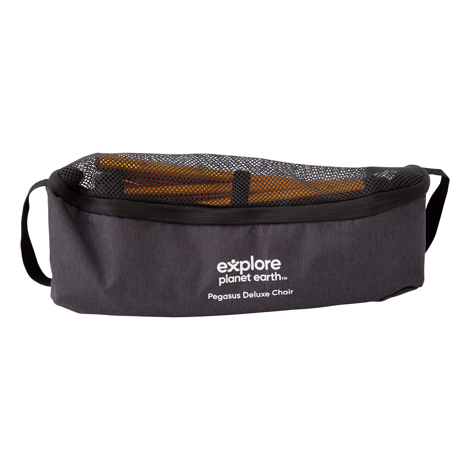 Explore Planet Earth Pegasus Deluxe Chair