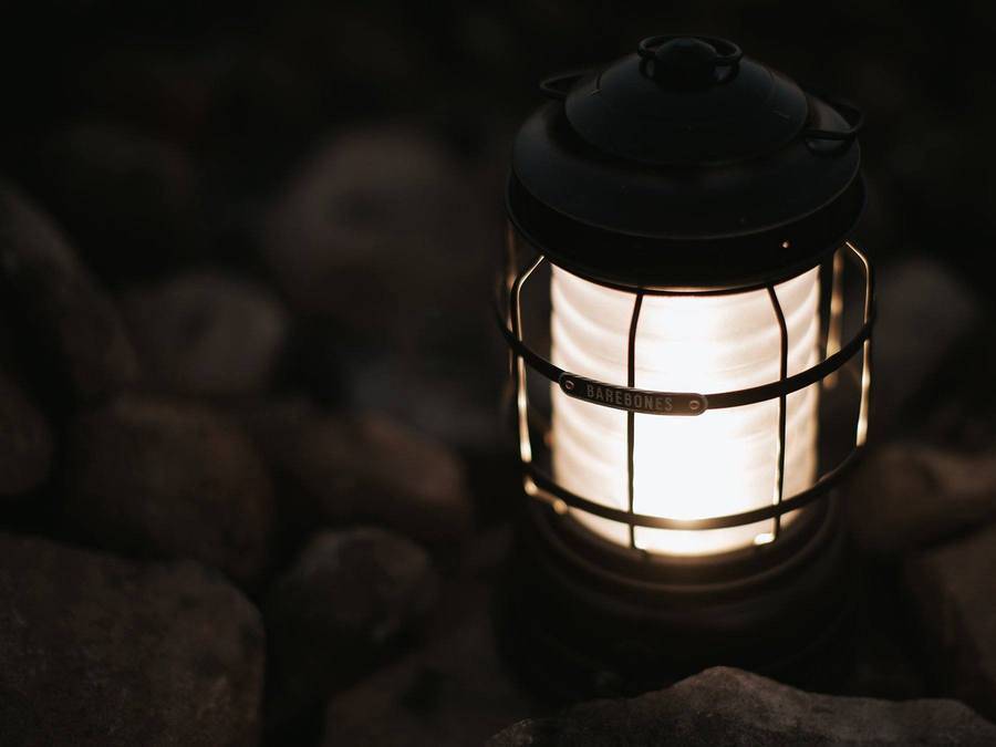 Barebones Forest Light V1.2 - Antique Bronze | Barebones