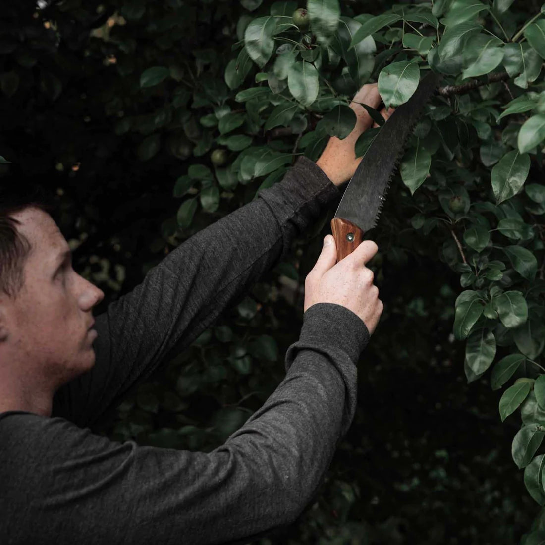 Barebones Timber Saw | Barebones