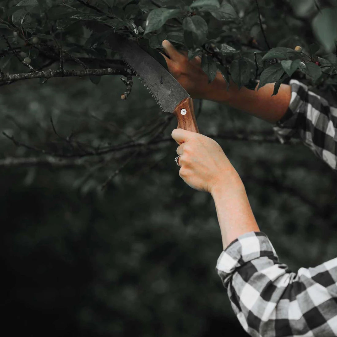 Barebones Timber Saw | Barebones