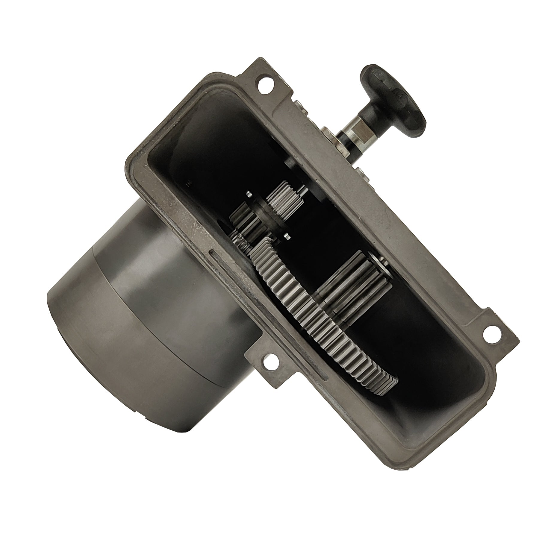 Gigglepin Top Housing Gear - Std Ratio | Gigglepin