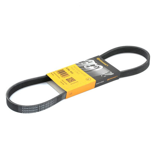 BMW Serpentine Belt for M57 - Continental 5PK813 - 64558593211 | Continental